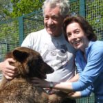 Wolf brother – will there be another series?