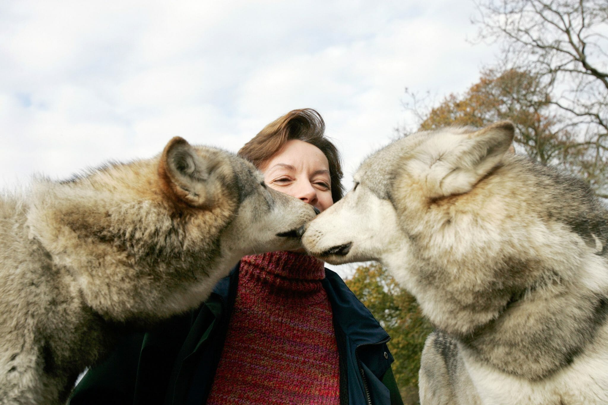 Wolf brother – how did you get the idea?