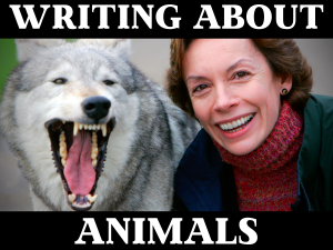 Finding a publisher and/or an agent